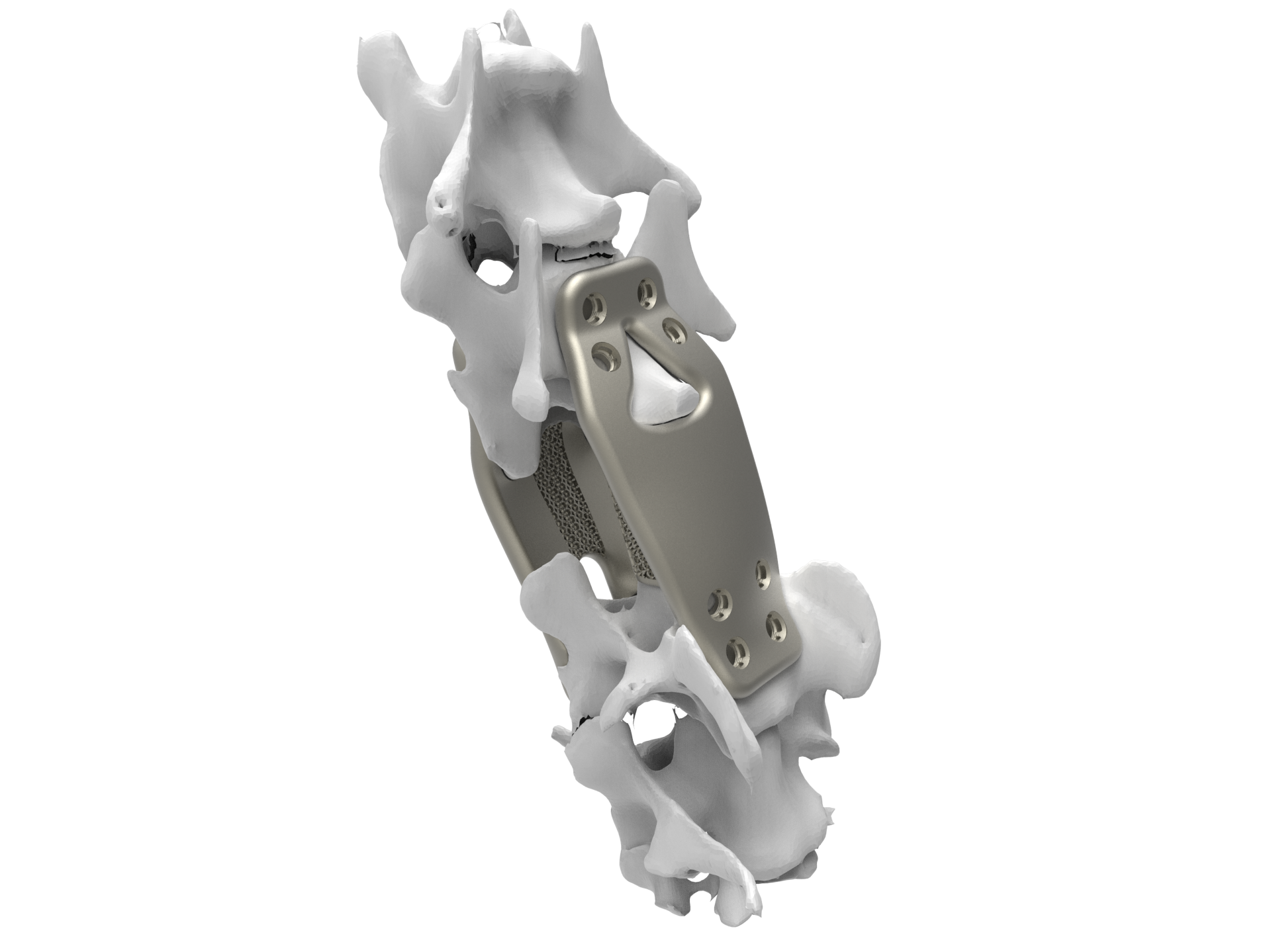 Veterinary implant type 4